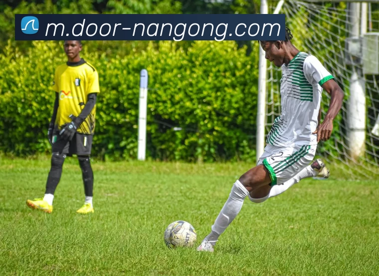 南宫体育服务体系